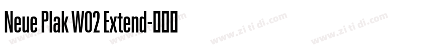 Neue Plak W02 Extend字体转换